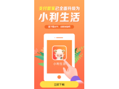小利生活资金结算问题解析