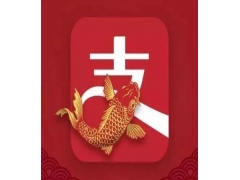 支付宝提现受阻？掌握风险申诉技巧，轻松解决提现与结算难题