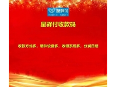 星驿付星POS管家收款码暂缓结算提现失败的案例