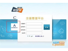 收单宝交易成功但钱未到账？手把手教你解决！