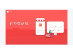 有赞微商城开店结果提现功能被锁定了，这是什么原因啊？
