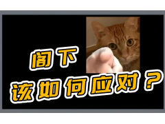 有赞商家资金提现不了怎么解决