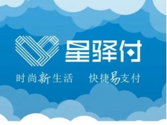 星驿付支付码牌提现问题及处理方法