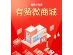 有赞商城收款异常提现冻结要提交什么资料恢复？